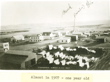 Almont 1907